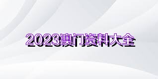 2023澳门资料大全正版资料，探索澳门新机遇与未来趋势