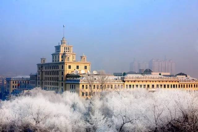 黑龙江大学，历史与未来的交汇点