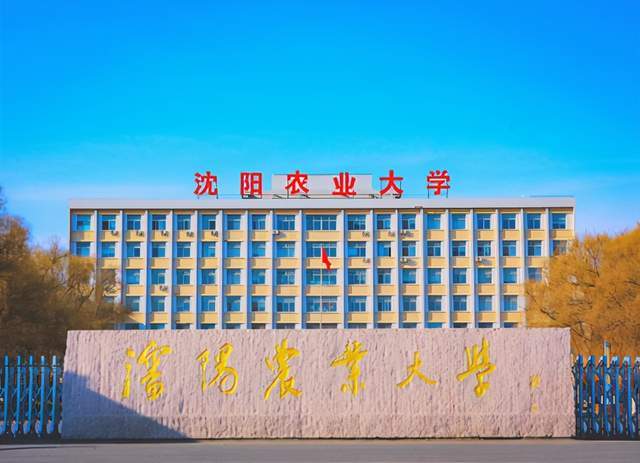 沈阳农业大学研究生院，培育农业精英的沃土