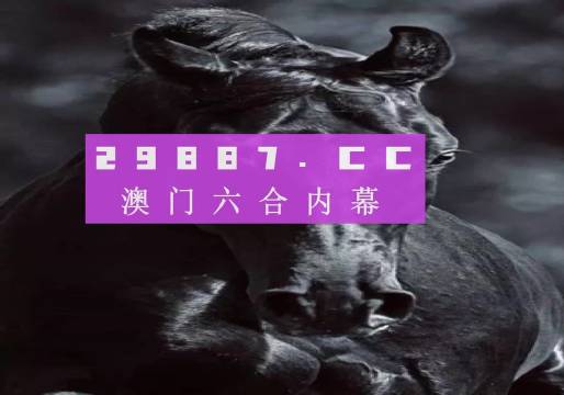 澳门新开奖记录，今日开奖结果权威查询平台