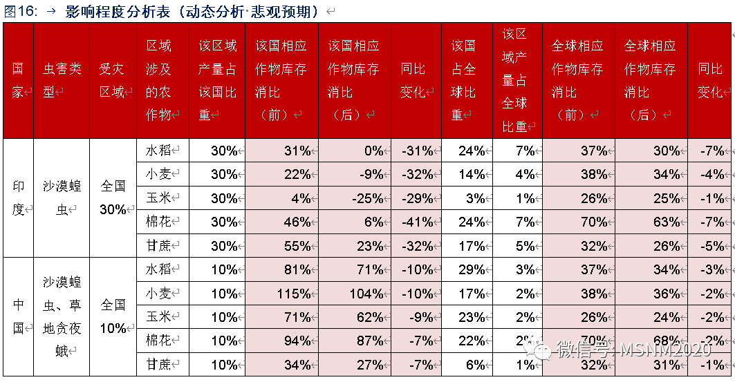 澳门新彩今日开奖，2025年3月3日开奖结果深度解析