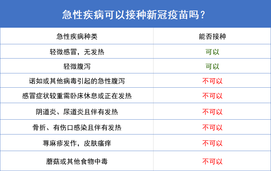 探索新澳门开奖记录查询307，全面指南与结果明细解析