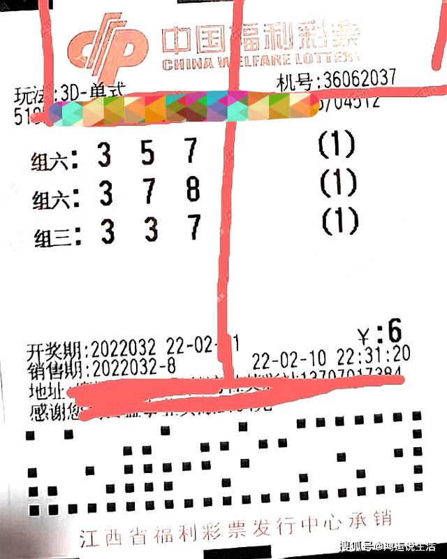 今日体彩排列三试机号揭秘，数字游戏中的智慧与乐趣