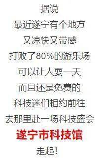 浙江风采与江苏七位数，探寻数字背后的奥秘与魅力