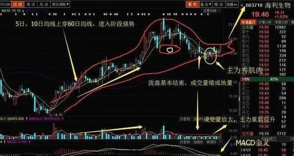 福彩快三，解析开奖走势图，洞悉数字背后的奥秘