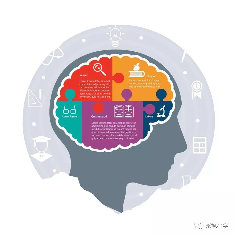 3D专家中彩网，揭秘数字游戏中的智慧与乐趣