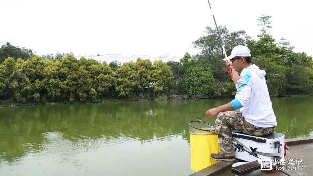 试机号后的太湖钓叟，智慧与运气的交织