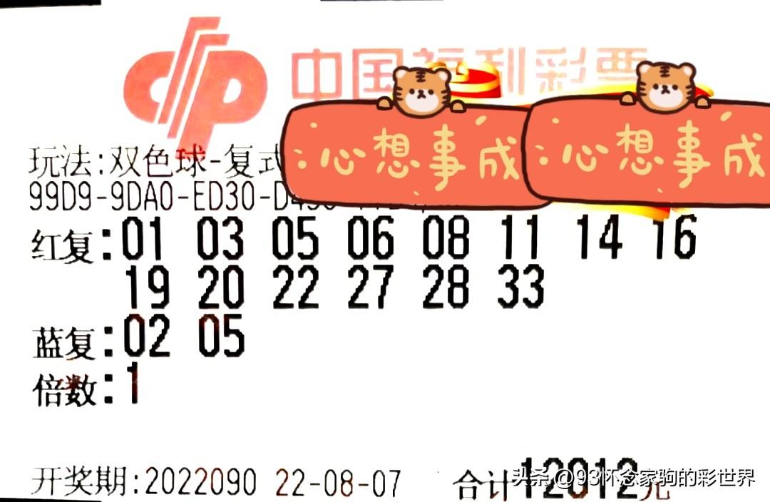 快乐8单式中奖号码，解锁幸运的秘密