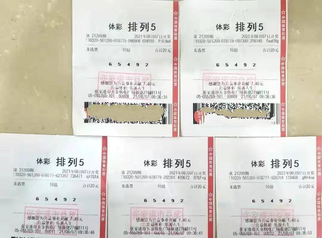排五开奖基本走势图500，解码数字背后的奥秘