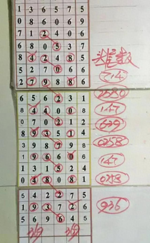 22258期排五开奖结果深度解析与彩民心声