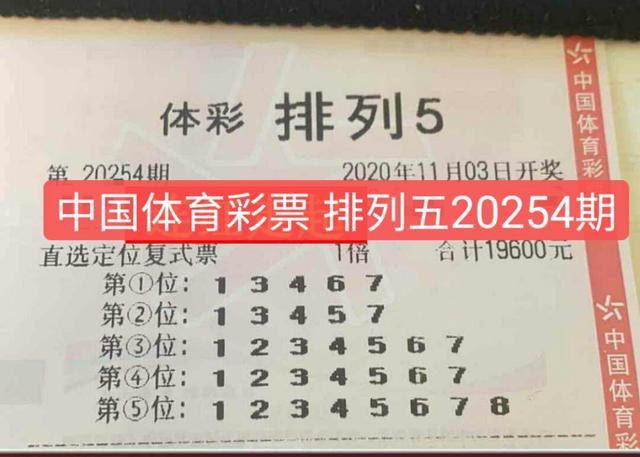 排五开奖结果深度解析