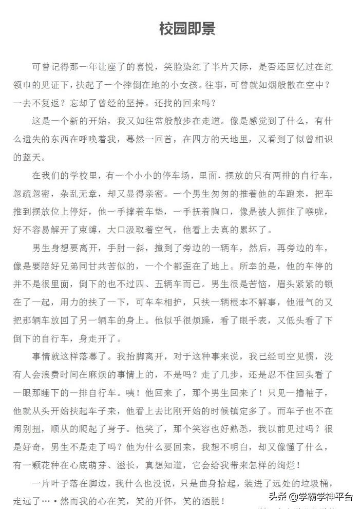 排五开奖结果近500期，深度剖析与趋势预测