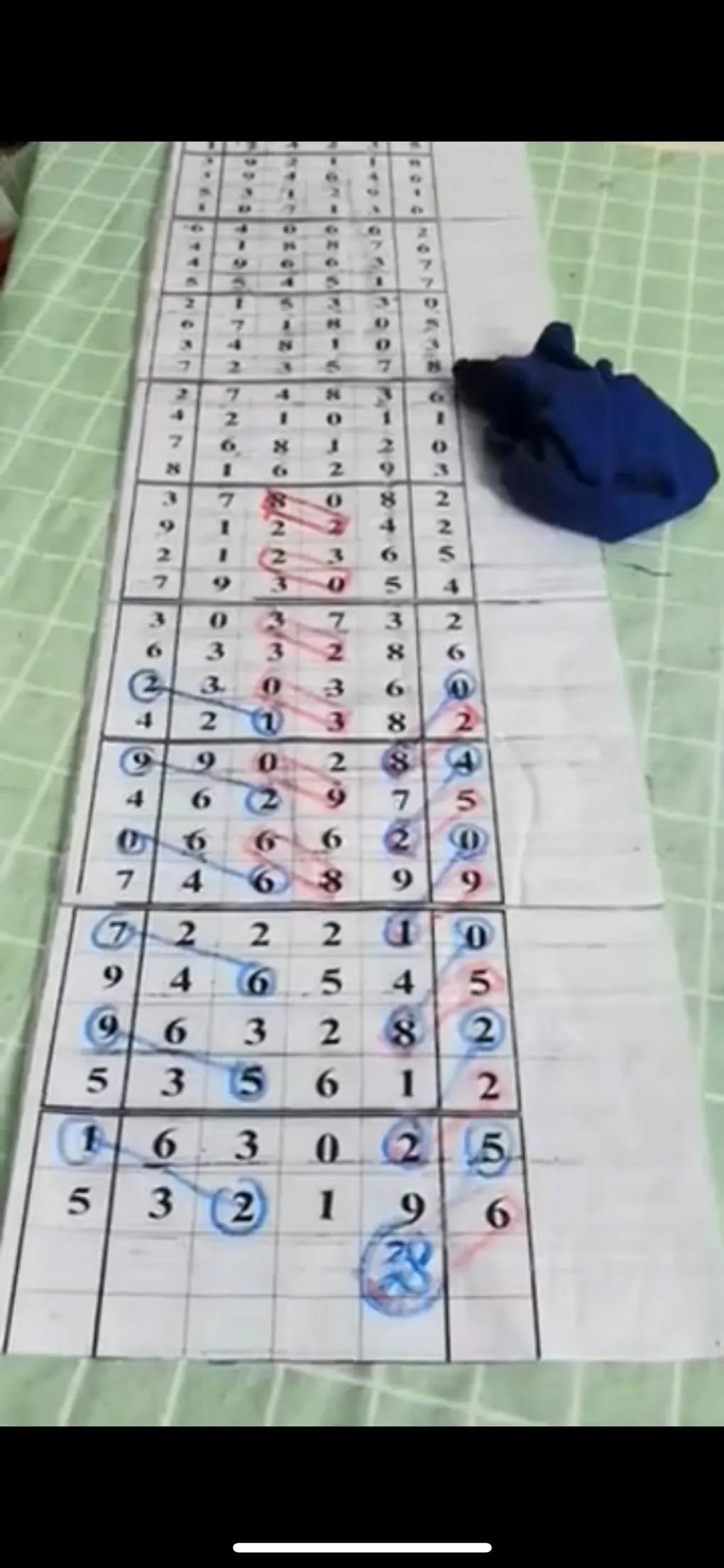 排五开奖结果走势图连线带坐标，解析与预测的智慧