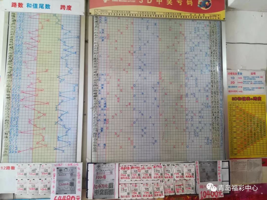 今日3D综合版走势图，透视数字背后的奥秘
