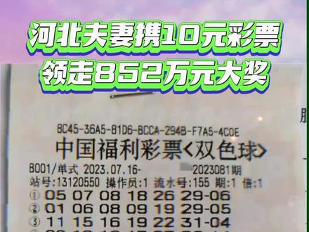 河北20选5开奖结果电脑版，数字背后的幸运与期待