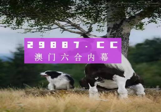 澳门今期正版四不像图片下载，探索与风险并存的数字世界