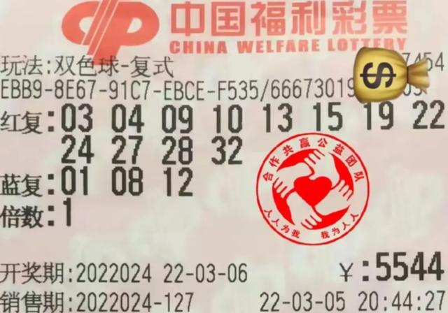 双色球中的奇迹，一个号码的非凡之旅