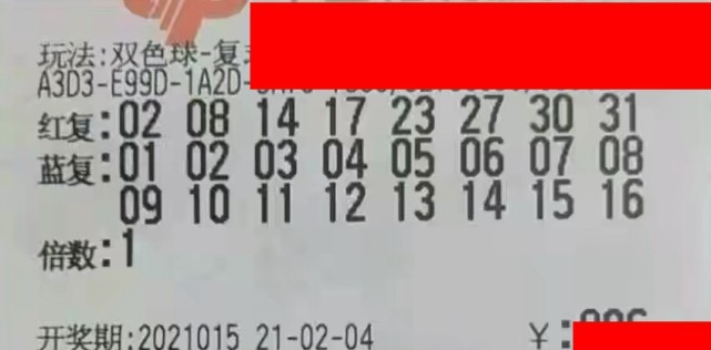 20190445期双色球开奖结果揭晓，幸运数字照亮梦想之夜