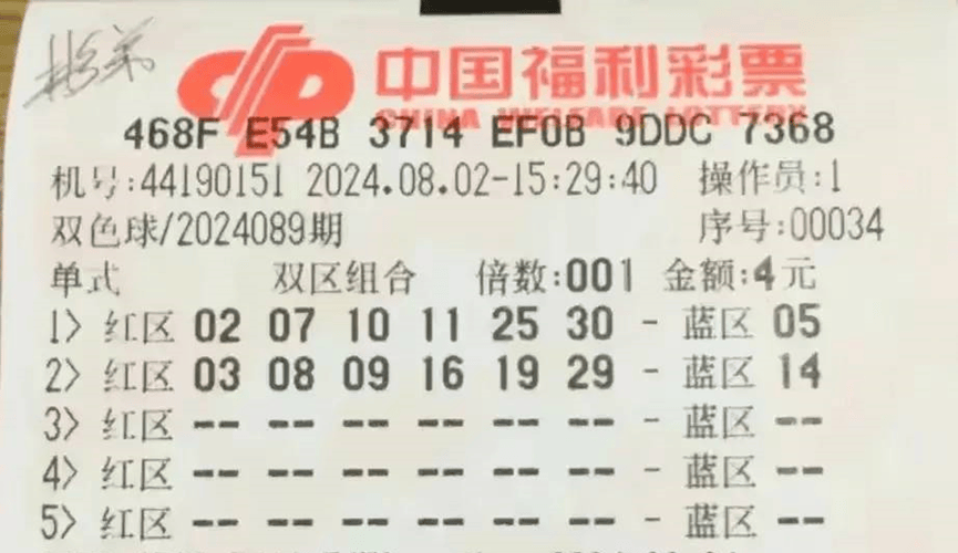 澳门六星彩开奖号码查询表格最新预测，揭秘数字背后的奥秘