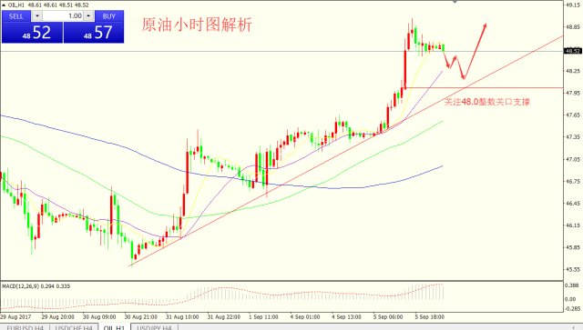 澳门六福金价今日行情，金市波动下的璀璨光芒—图片大全及价格解析