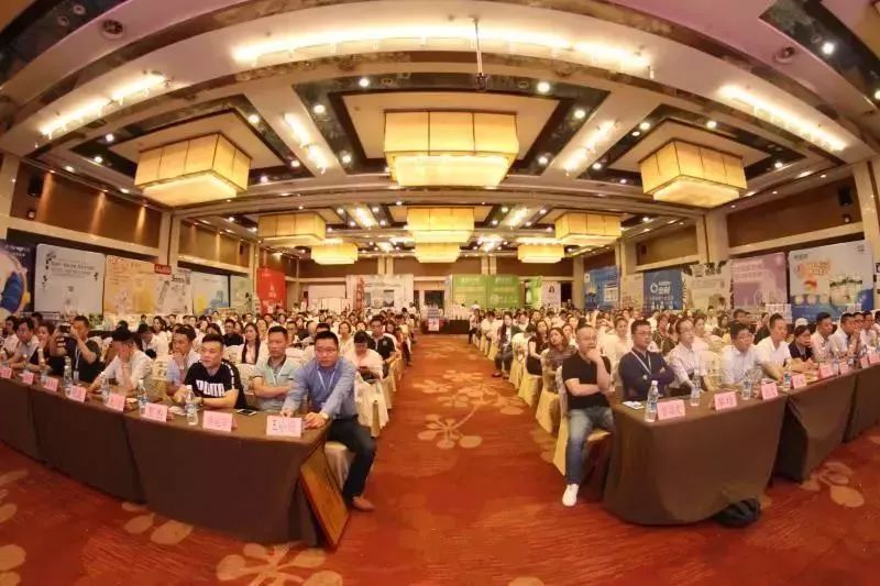 澳门六福黄金今日价格，金市风云，一克之差尽显市场脉动
